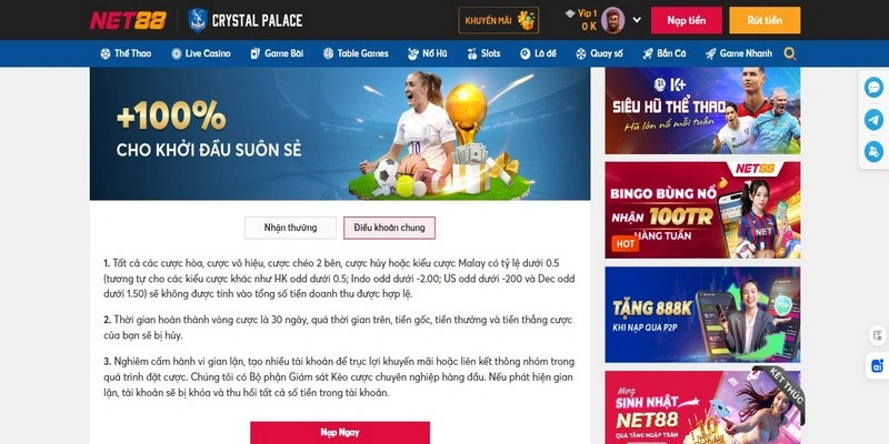 Net88 – Nạp Đầu Tặng 100% Cực Khủng 20 Triệu Cho Tân Binh 3 Điều kiện nhận khuyến mãi nạp đầu 100%
